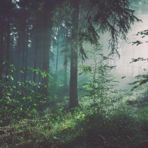 性感美女被干裸
